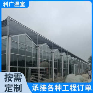 玻璃温室 农业大棚 智能连栋温室 玻璃温室 温室工程