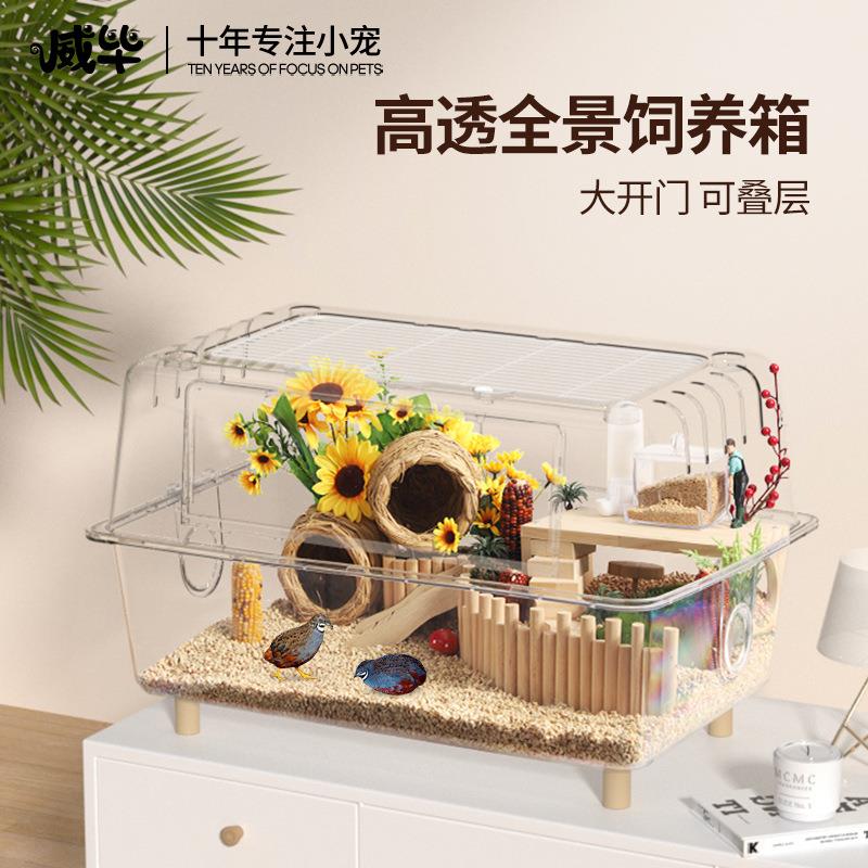 芦丁鸡饲养箱透明水晶养殖专用易清理爬宠小鸡箱子宠物箱鸡窝笼子