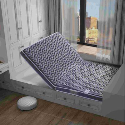 天然叠椰棕ysy84031床榻榻米护脊硬垫两用可折学生宿舍垫租房单人