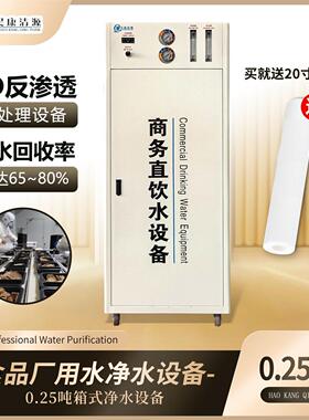小型食品厂用水0.25吨每小时箱式反渗透设备直饮水设备工厂直销