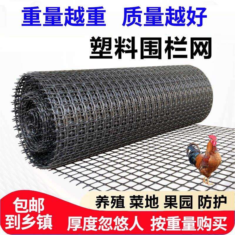 养鸡塑料网格围栏网养殖网鱼塘防护网围栏圈地家用菜园塑料围鸡网