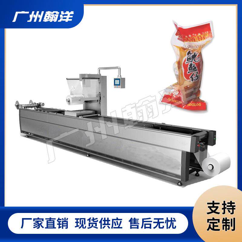 全自动双面拉伸膜封袋机鱿鱼仔双面铝软吸塑真空包装机厂家直供