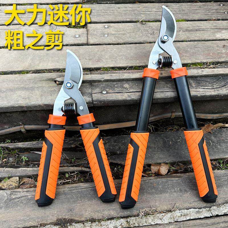 园林粗枝剪大剪子迷你修枝大剪刀园艺果树剪树枝专用大力剪修剪图片