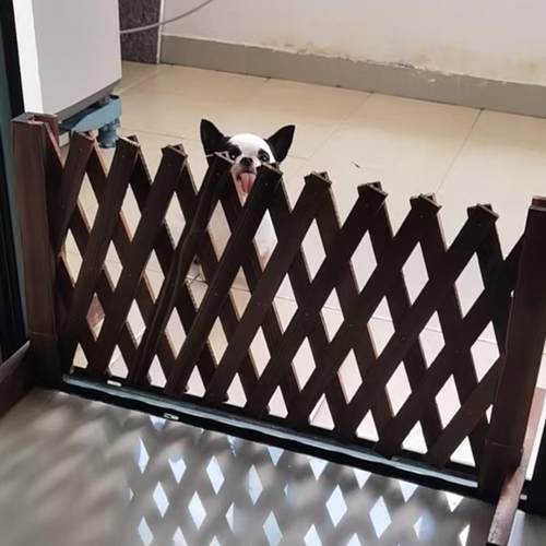 宠物栅栏栅栏隔离门户外室内伸缩隔断拦猫拦狗栅栏挡板隔离网门栏