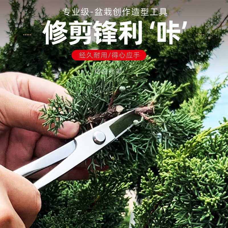 剪根剪盆景修剪造型专用工具多用剪家庭插花分苗修枝剪园艺工具剪,鲜花速递/花卉仿真/绿植园艺,其它园艺用品,淘宝优惠券,粉丝福利购,淘宝优惠卷