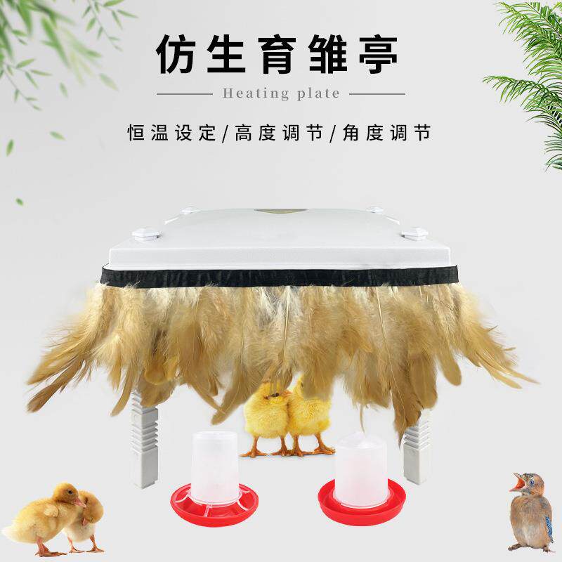 跨境出口小鸡育雏器发热器育雏取暖器 可调节保温板 带鸡毛育雏亭