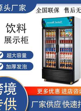 咖先生饮料啤酒展示柜商用冷藏保鲜柜立式冰柜便利店单双门冰箱