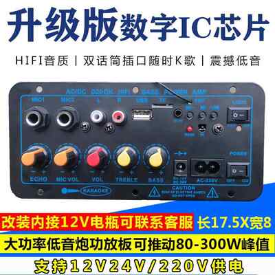 大功率蓝牙低音炮功放板12V24V220V户外拉杆箱音响主板6-15寸喇叭