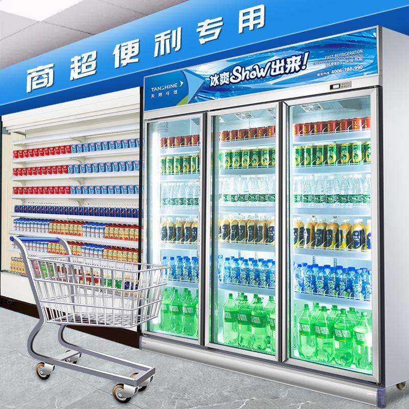 天翔冷柜饮料冷藏展柜示650冷商用便利店饮柜立料式冰柜双门三门