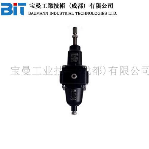 11-4SN印度Shavo精密过滤压阀压力调节器G3/8铝合金铸体SS316L