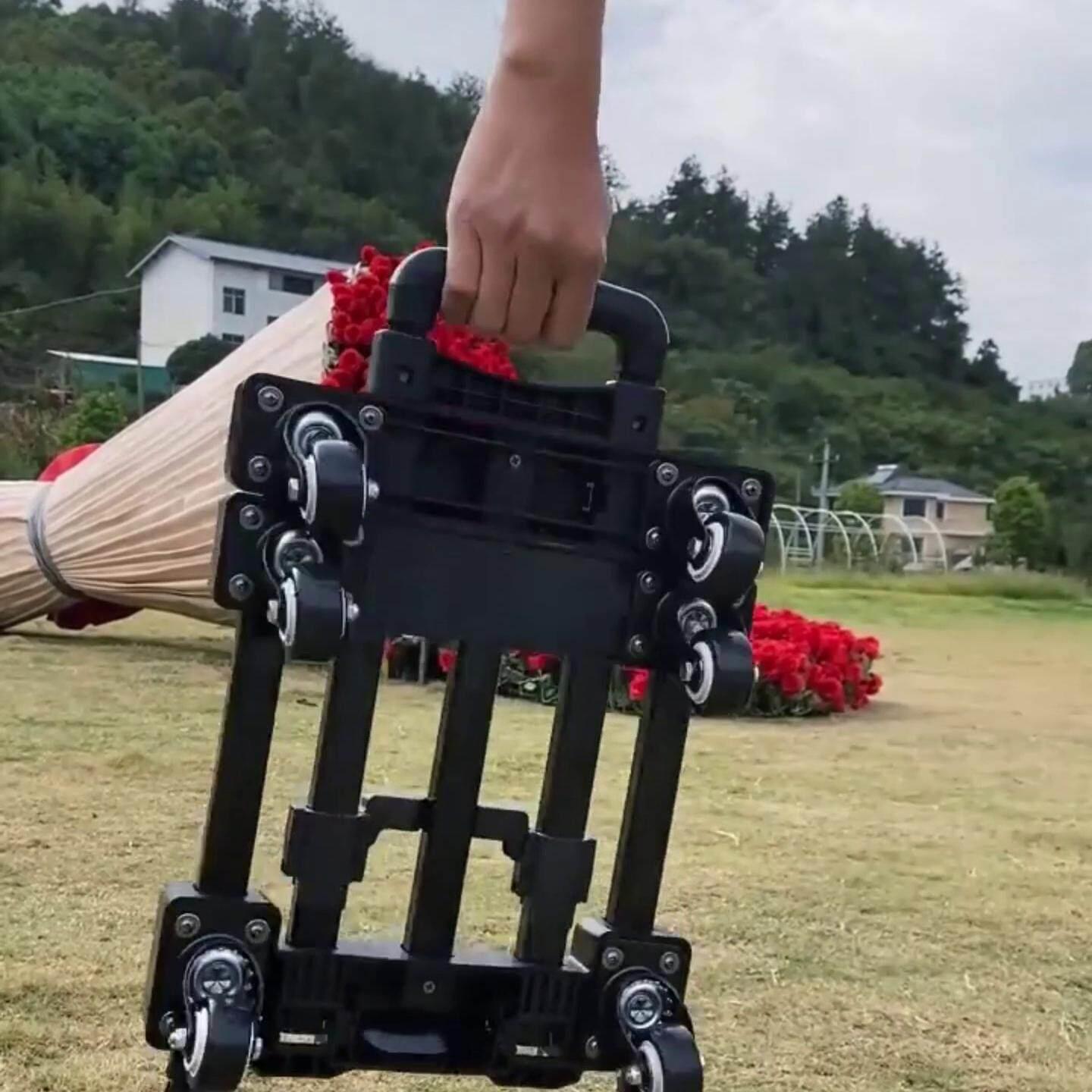 天誉带煞车折叠行李车拉货万向轮行李手推车手拉车载重可携式小推