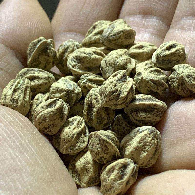 菩提文玩菩提子菩提百香籽文玩热振百香籽文玩百香子原籽多棱