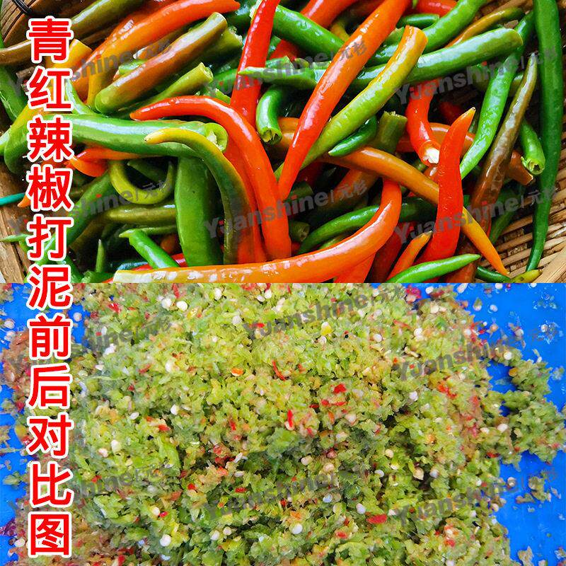 全自动果蔬电动打碎机 生姜大蒜打泥机 辣椒酱打碎加工设备