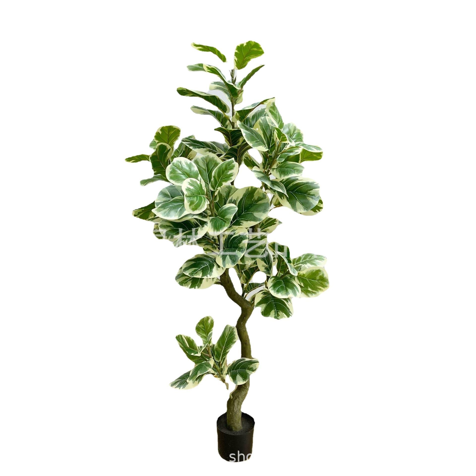 白边琴叶榕仿真盆栽人造橡皮树布叶葫芦树盆景仿真树绿植琴叶榕树