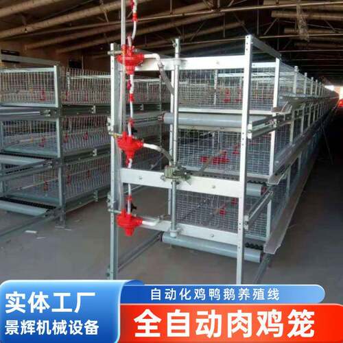 厂家生产全自动肉鸡笼养殖笼具多层鸡笼大型鸡场自动化养殖设备