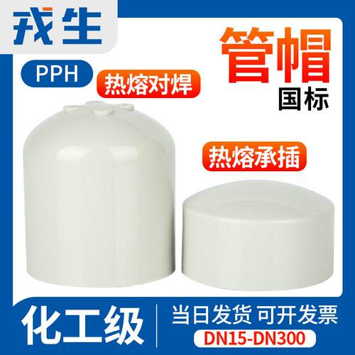 戎生PPH管堵管帽国标PPR水管阻流塞热熔管件化工配件耐酸碱高温25