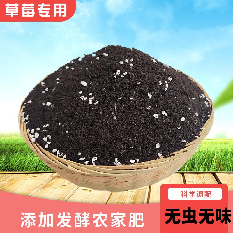 营养通用松针种菜专用栽培基质