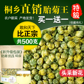 菊花茶桐乡胎菊王头采特级正宗杭白菊贡菊花茶，500g散装新花草(新花草)茶叶