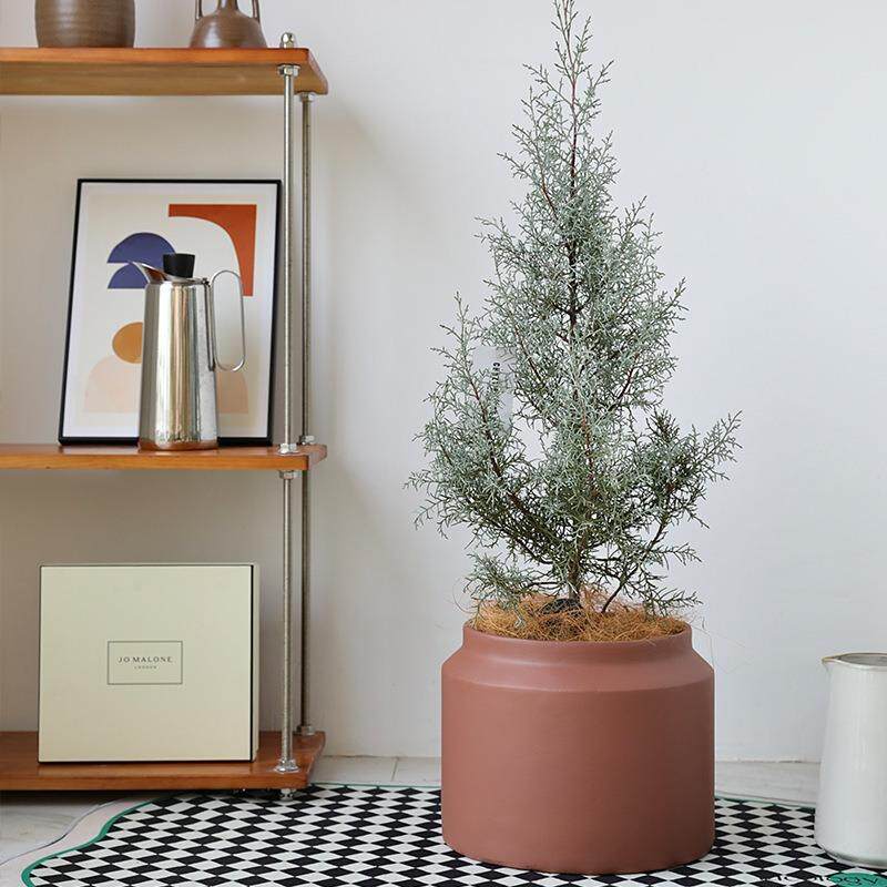 北欧简约落地水泥花盆创意家居盆栽个性香松客厅室内垂丝茉莉套盆