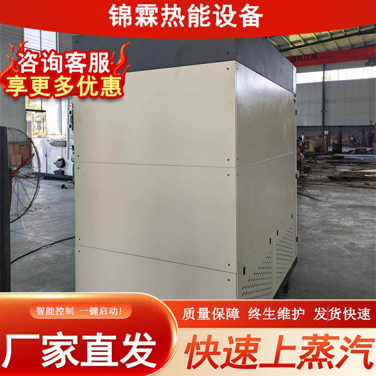 贯流式蒸汽发生器食品加工服装洗涤蒸汽锅炉厂家直销蒸汽热源机
