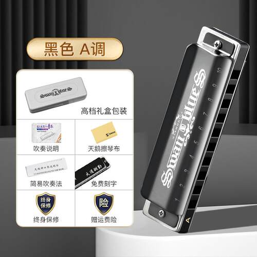 正品天鹅十蓝孔调口琴正品10孔初者入门蓝调儿童学C调奏专业演pad