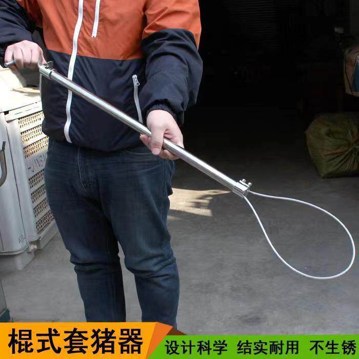 兽用猪用套猪器绿色塑料把不锈钢丝绳子拴猪绳子保定器