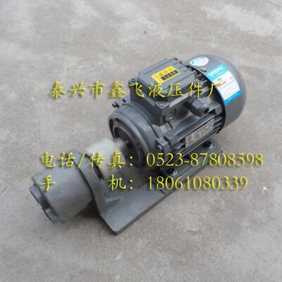 CB-B4JZ B6JZ B10JZ B2.5JZ齿轮油泵电机组YS7134 0.37 0.55KW