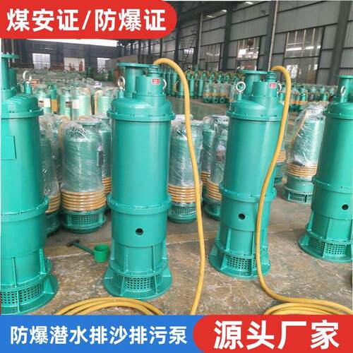 矿用隔爆型潜水排沙电泵 BQS80-450/4-220kw 防爆潜水排污泵