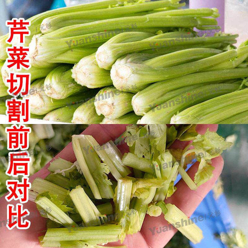 螺蛳粉调料切菜机腊肠火腿肠切片机芒果柠檬切片切丁切丝机