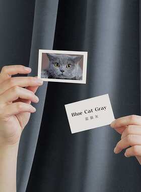 绒感绒布蓝猫灰色系复古风卧室高遮光窗帘成品挂钩打孔加工批发