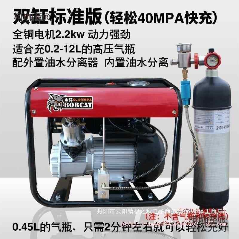 山猫电压动高打气机30mpa高压充气泵NBZ4打0mpa小单缸水型冷气麦