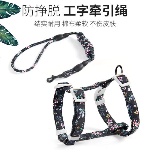 宠物宠物牵引猫咪猫咪狗牵引绳