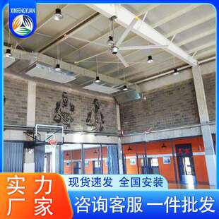 永磁无刷3.6米大吊扇 彩色健身房大风扇 直流风扇 工业散热风扇