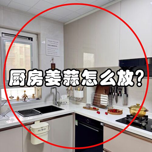 吸盘葱姜蒜收纳盒厨房壁挂生姜大蒜收纳神器收纳挂篮微波炉清洁器