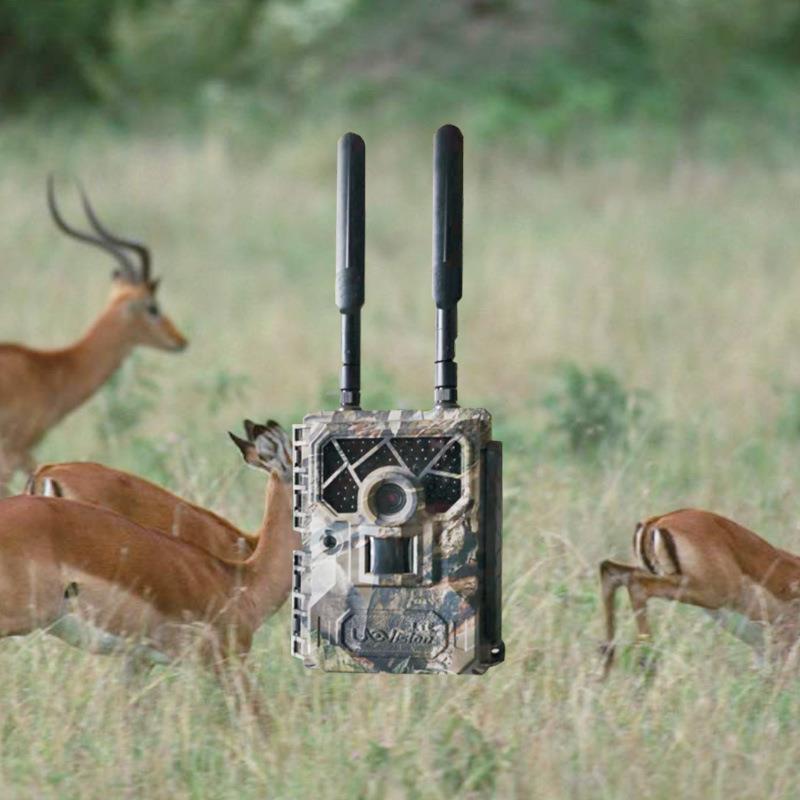 自红然保护区生物多性AI样能识别系OSEN统 哺智乳动物外监测相机