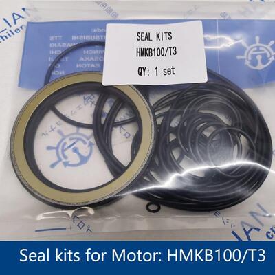 Seal kits for Motor HMKB100/T3液压马达密封修理包舱盖油马达