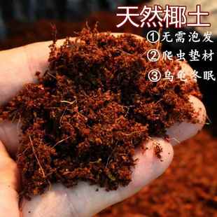 苔藓免泡直接用 无菌椰土垫材乌龟冬眠蜘蛛蝎子爬虫角蛙蜗牛保湿