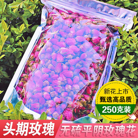 玫瑰花茶250g 正宗山东头采天然新鲜无硫 平阴干玫瑰花蕾袋装