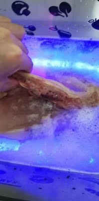 赫本食材净化机怎么样?用后一个月!【质量大揭秘