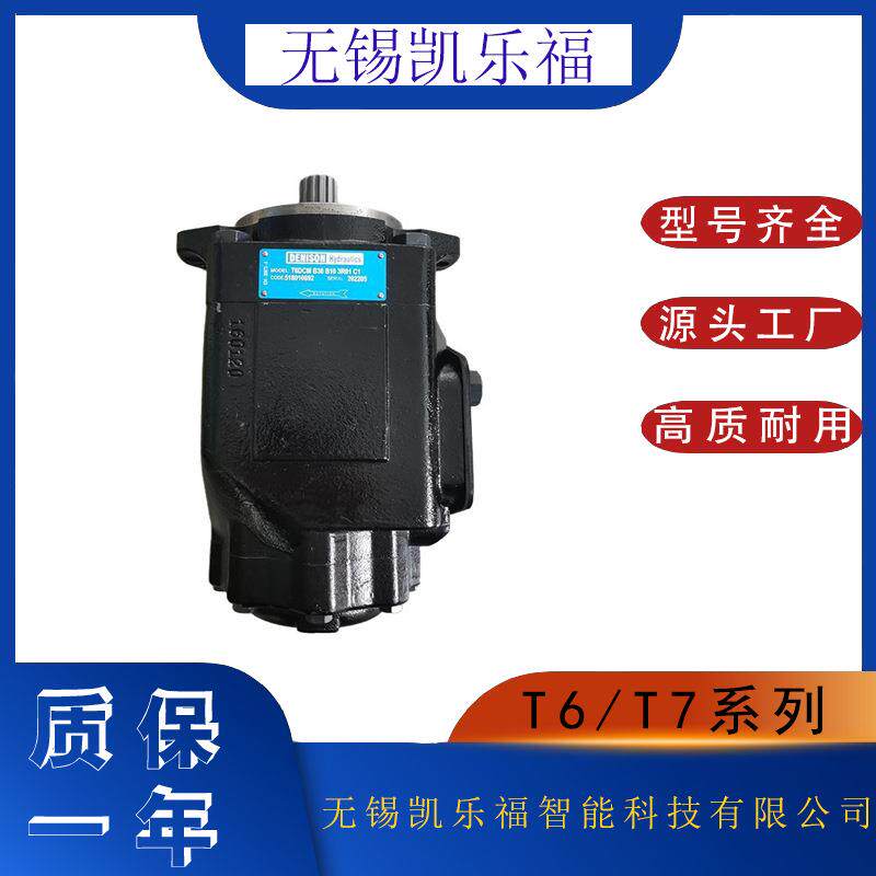 双联伺服油泵T7DBS-E22-E15-1R10-A1M0注塑机油泵双联叶片泵