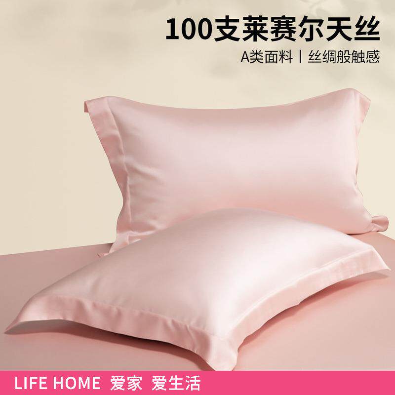 夏季天丝枕套一对装家用48cmx74cm轻奢高级冰丝真丝枕头套内胆套4