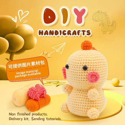 Crochet Kit with Yarn Knitting Crochet Hook for Beginners Wi