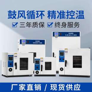 电热鼓风恒温干燥箱不锈钢烘干箱大灯实验室高温小型工业高温烘箱