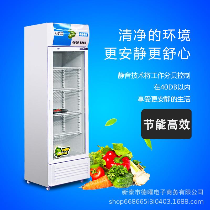 立式冷藏展示柜双门饮料冷藏展示柜啤酒冷藏展示柜立式保鲜柜冰箱