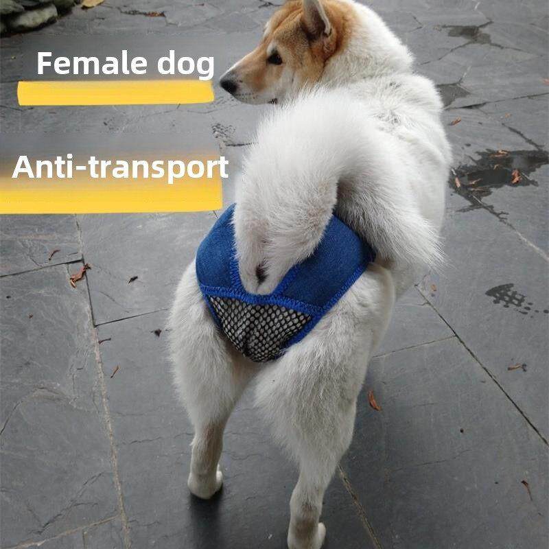 母狗防交配神器狗狗生理裤母狗狗宠物生理期安全裤发情小型犬防止