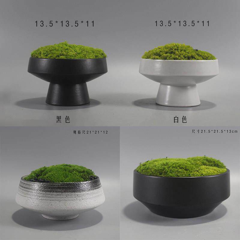 新中式现代永生苔藓装饰盆景微景观样板间样品屋展示中心办公室内
