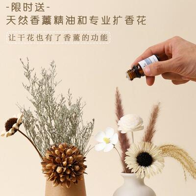 仿真花束客厅木风软装桌电原视柜装饰品餐插HMS摆花件