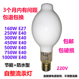 户外防水自整流高压汞灯，250w300w450w500w1000wgyz自汞10个