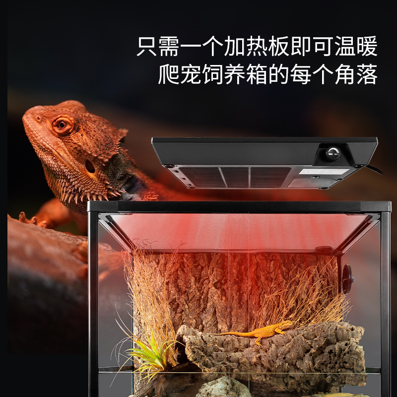 reptizoo爬宠可调温加热板爬虫饲养箱暖风机陆龟蜥蜴守宫角蛙加热