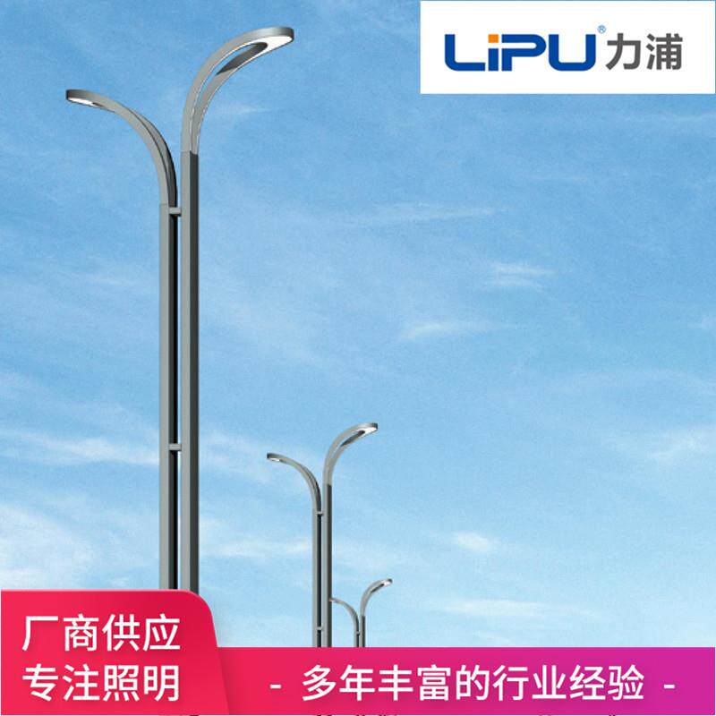 厂家直供LED市电路灯 6米8米太阳能路灯 户外双臂双头LED路灯杆